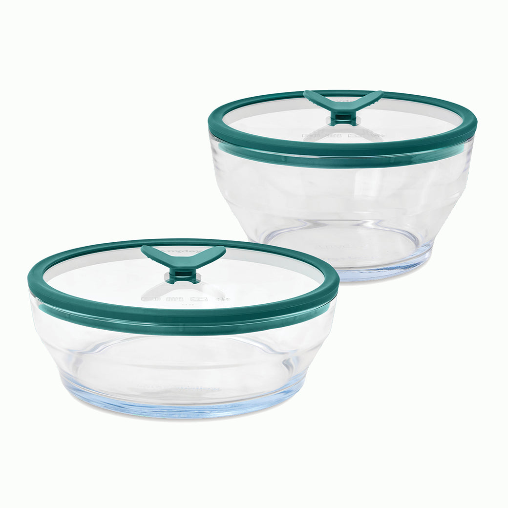 4-Piece Glass Round Dish Set