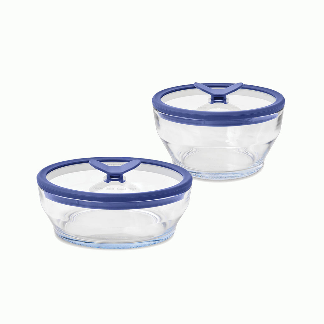 4-Piece Glass Round Dish Set
