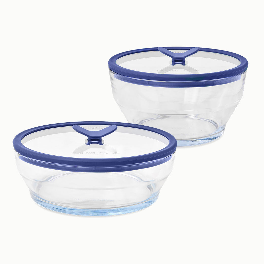 4-Piece Glass Round Dish Set