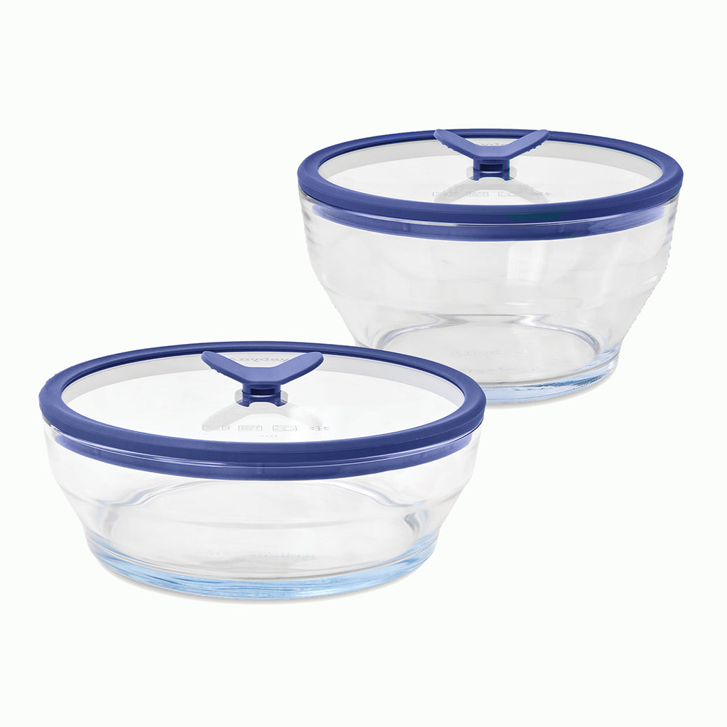 4-Piece Glass Round Dish Set