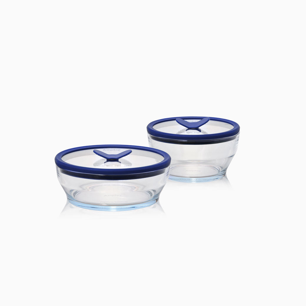 4-Piece Glass Round Dish Set