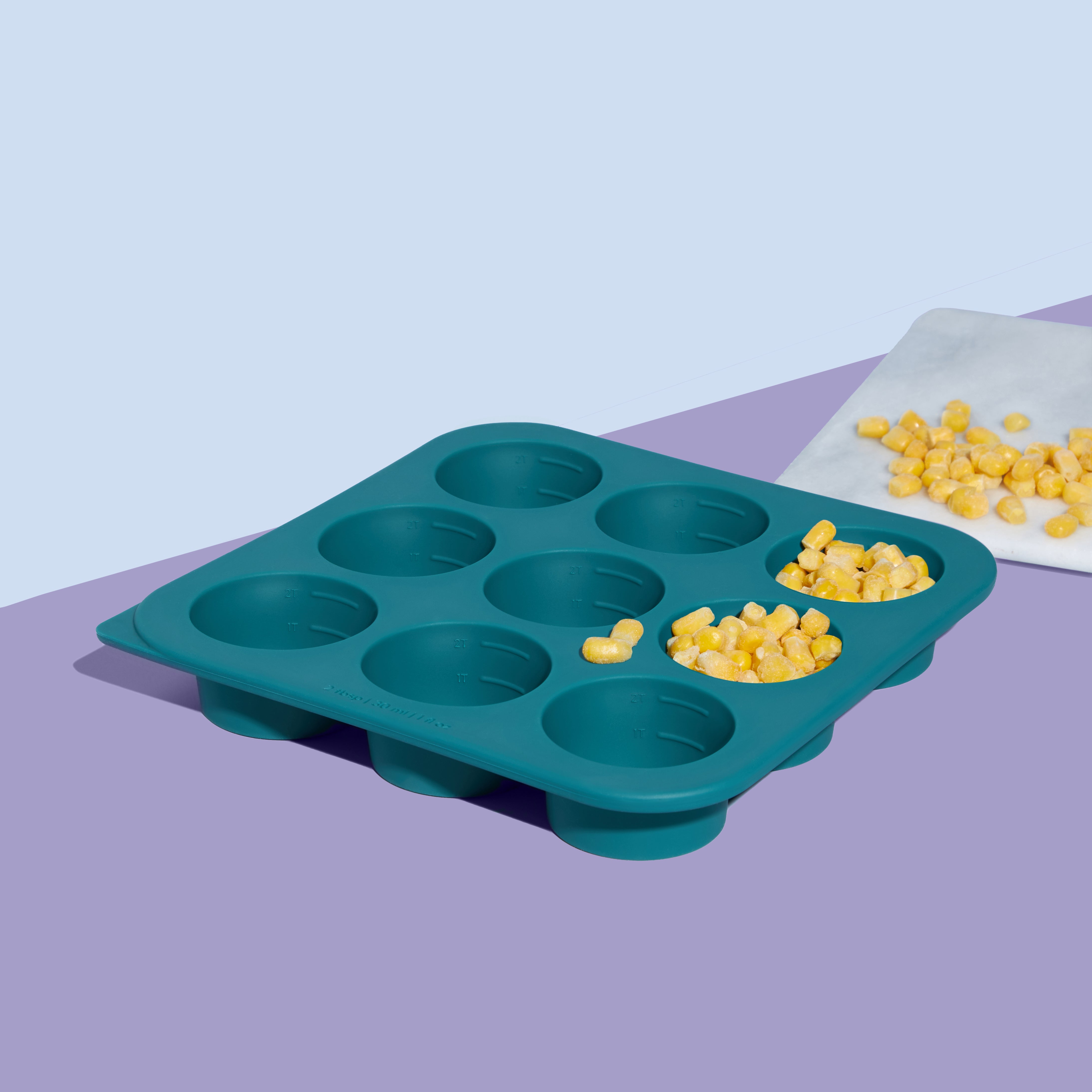 Perfect Portion Freezer Trays