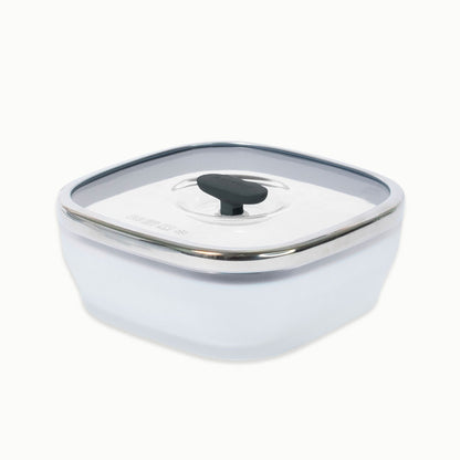 5.5-Cup Glass Square Shallow Dish